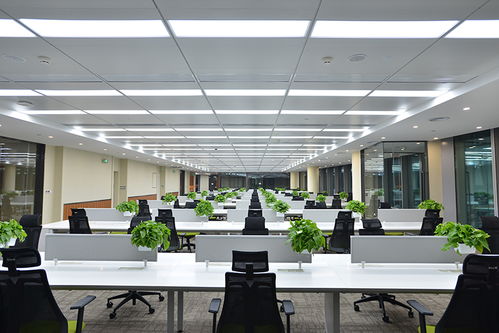 Choosing Professional Changsha Office Furniture Factory for Superior Service Quality and Translation Support